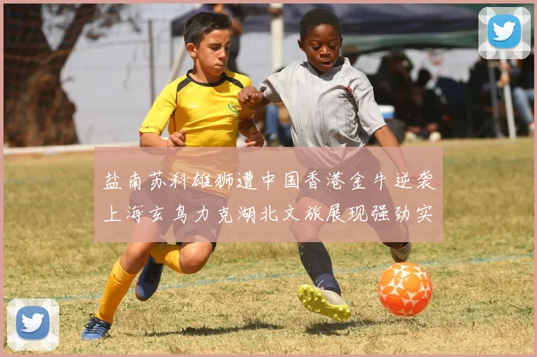 盐南苏科雄狮遭中国香港金牛逆袭上海玄鸟力克湖北文旅展现强劲实力