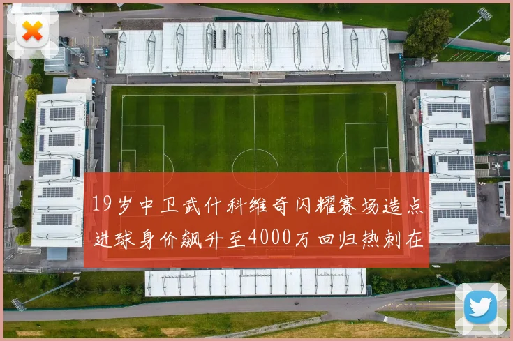 19岁中卫武什科维奇闪耀赛场造点进球身价飙升至4000万回归热刺在即