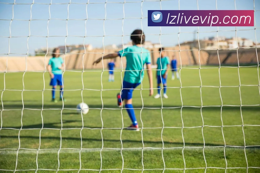 龙珠直播发展历程